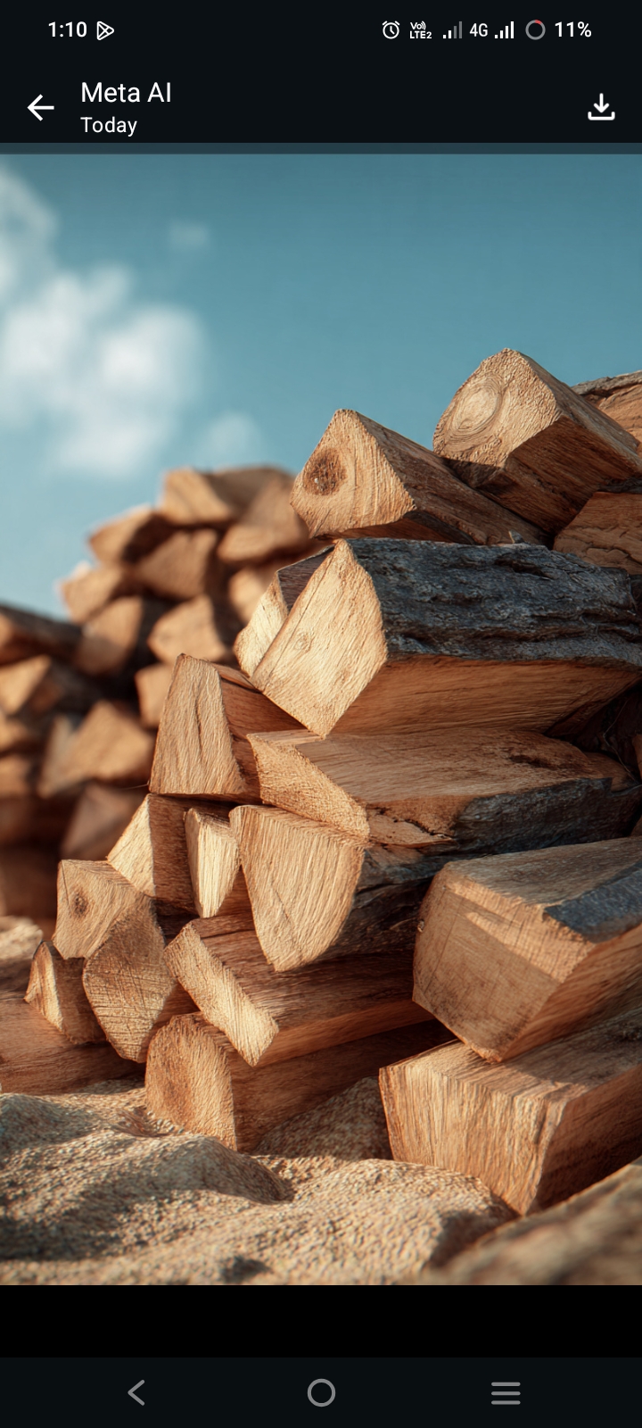 Timber 🪵 Wood
