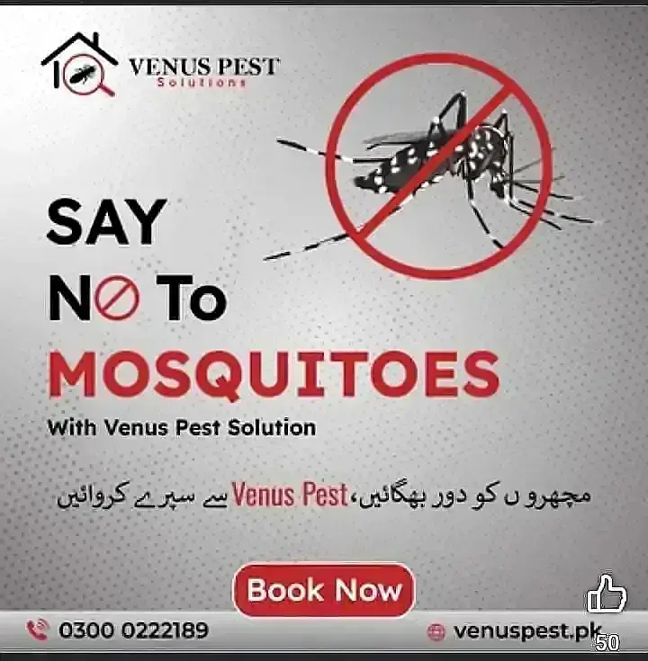 Dengue Spary/Termite Control/Deemak Control/ lizard pest control